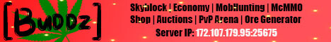 [BUDDZ] | Skyblock Server 1.15.2 (1.16 Can Join)!