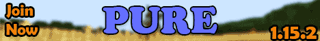[PURE] | Vanilla+ | 1.16.1 | SMP | PVP | GRAYLISTED |