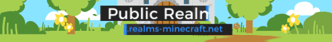 Minecraft Public Realms