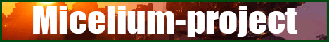 Mycelium project Minecraft server 1.16.3