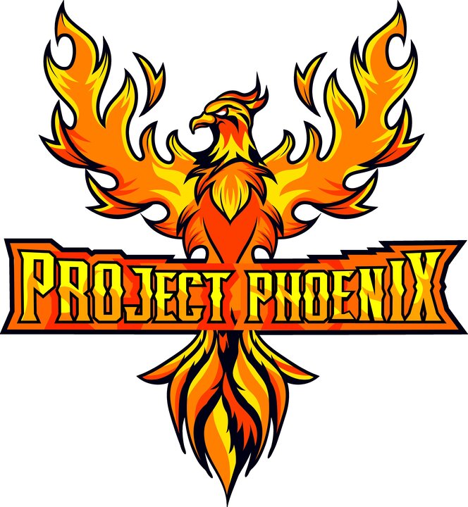 Project Phoenix Towny