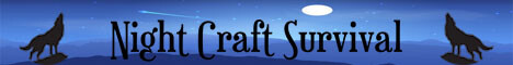 Night Craft: 24/7 Survival 1.16.3 *New*