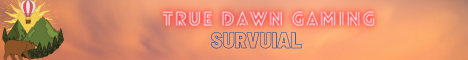 New Dawn Gaming