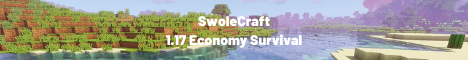 SwoleCraft - Economy Survival