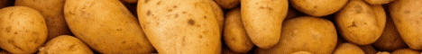 Potato MC