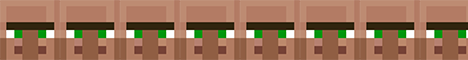 The Villager People
