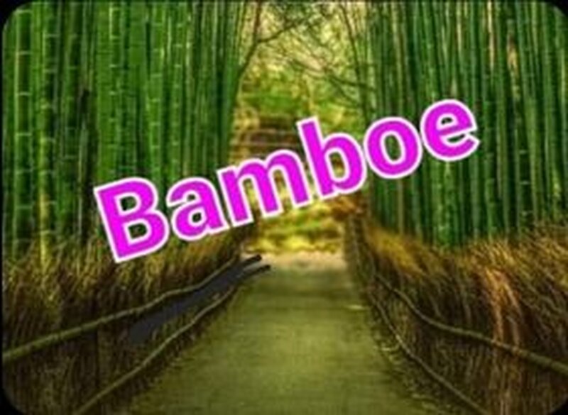 BamboeMC.nl