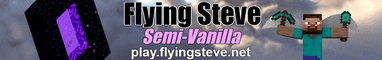 Flying Steve
