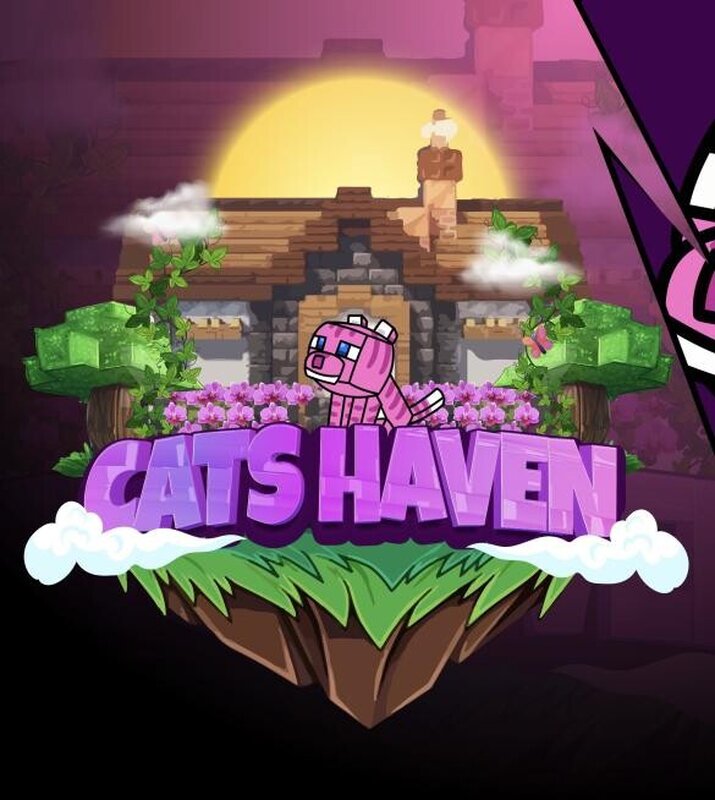 Cats Haven