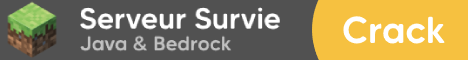 Survival Server