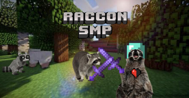 Raccoon smp: java and bedrock