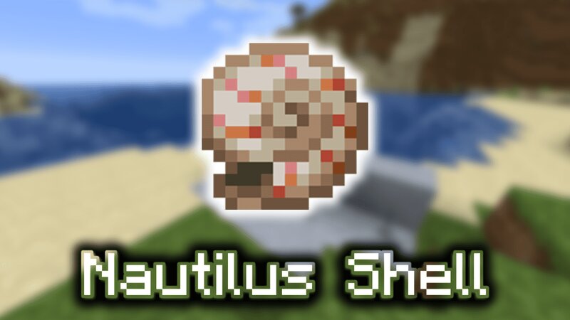 Nautilus Server