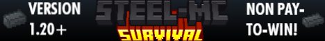 Steel-MC Survival