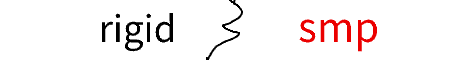 rigidsmp