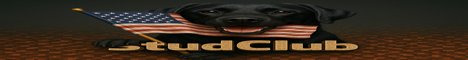 StudClub Survival