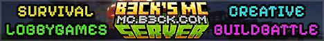 b3cks MC server