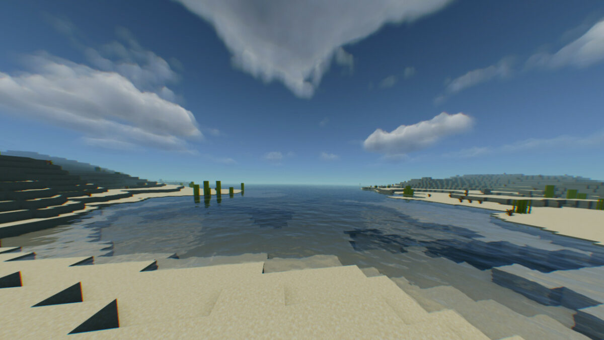 Vote for Lenient SMP