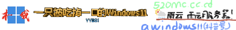 awindows11 server