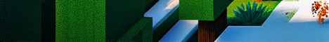 Random Hardcore Server